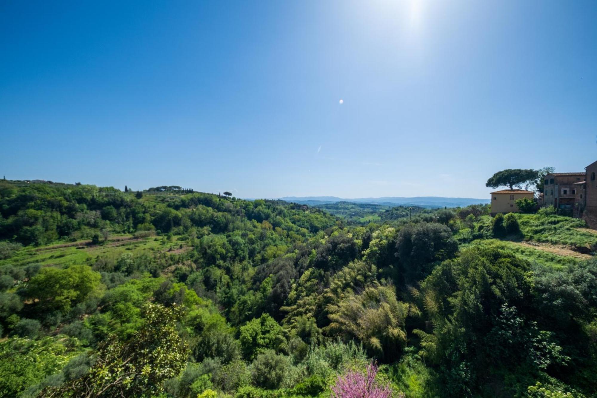 Antica Dimora Leones Bed & Breakfast Palaia Exterior photo